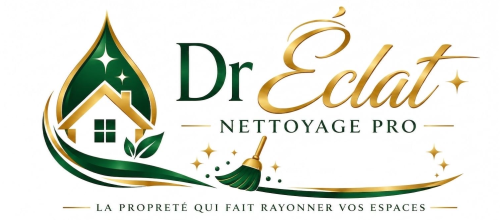 dreclatnettoyagepro